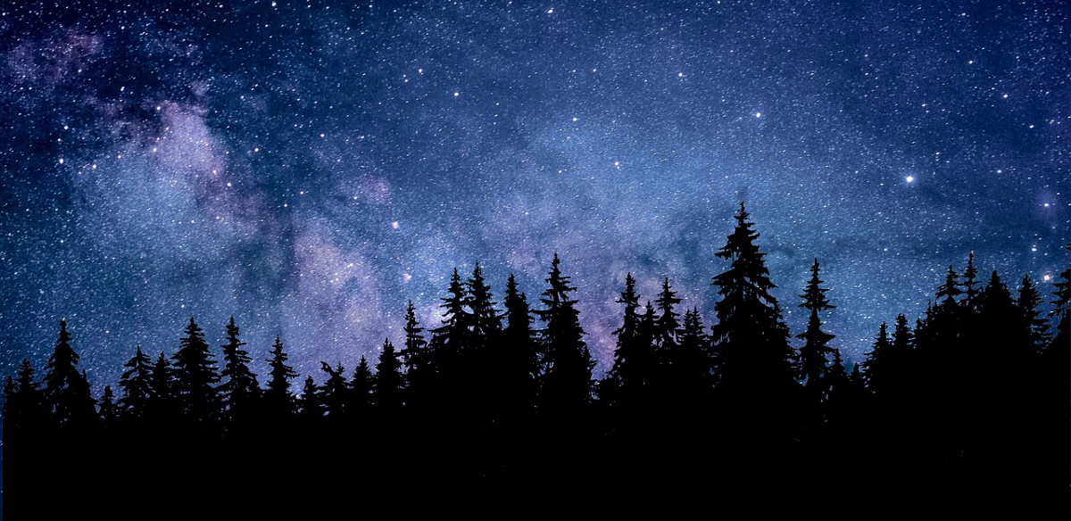 How to Build a Constellation of Stars with Customer Stakeholders?